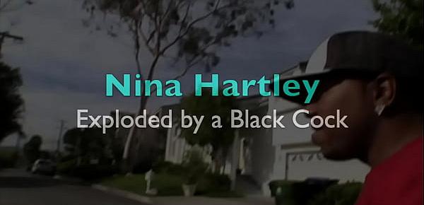  Nina Hartley se fait exploser par une grosse bite noire